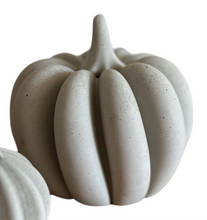 Load image into Gallery viewer, Concrete Pumpkin Large
