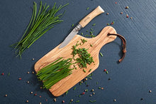 Load image into Gallery viewer, BERARD-Cutting Board with Handle- Olivewood
